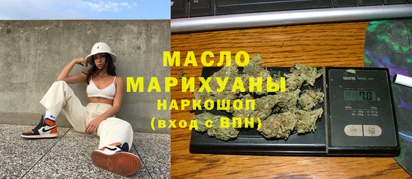 индика Гусиноозёрск