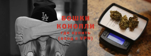 индика Гусиноозёрск