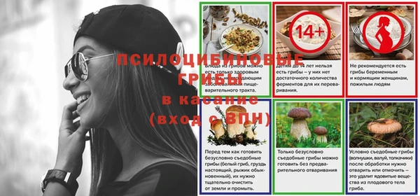 индика Гусиноозёрск
