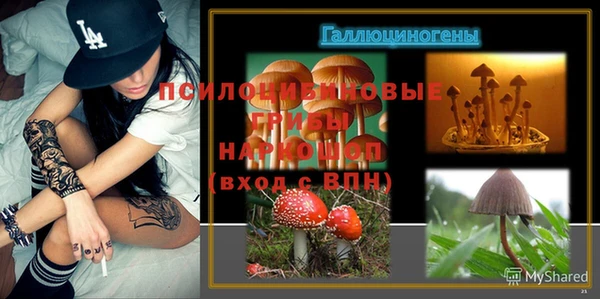mix Горняк