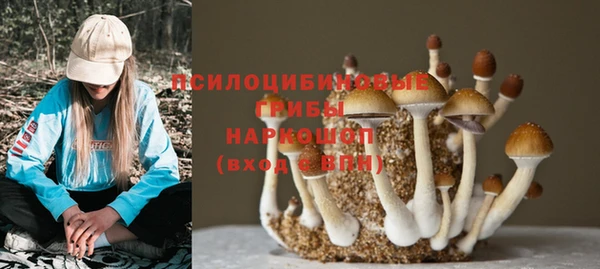 jwh Гусь-Хрустальный