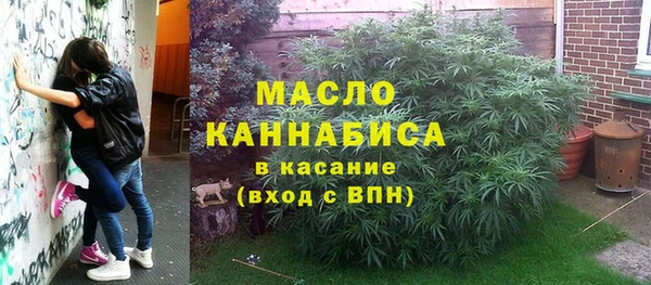 jwh Гусь-Хрустальный