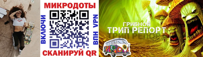 Галлюциногенные грибы Psilocybine cubensis  Купить где  Нурлат 